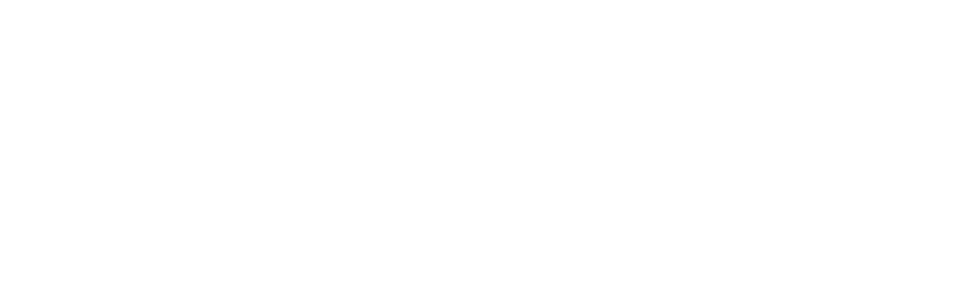 NG-ticket logo
